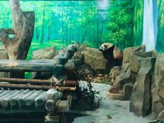 -灵玲国际马戏城