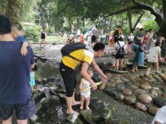 -成都市活水公园