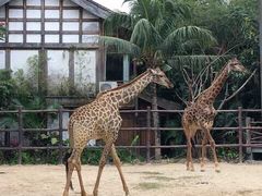 -三亚千古情景区游客中心-接待中心