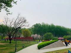 -仁和公园(顺义区)