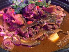 甲鱼土鸡锅-洪湘记川湘·甲鱼馆(四海凯悦美食广场店)