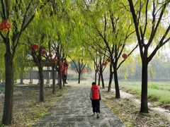 -长兴太湖图影湿地文化园