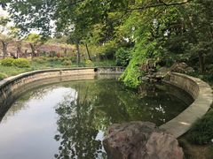 -嘉定紫藤园