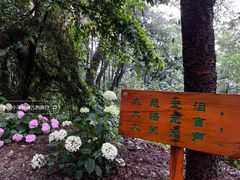 -寂照庵