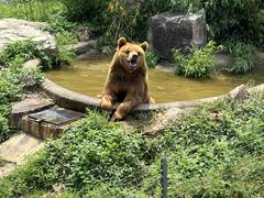 -无锡动物园·太湖欢乐园