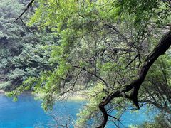 -叠溪松坪沟景区