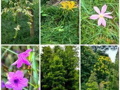 -白塘生态植物园