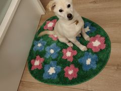 -IKEA宜家家居(南京商场)