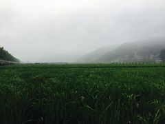 -南泥湾风景区