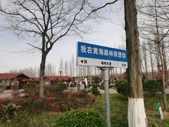 -黄海国家森林公园