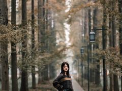 -黄海国家森林公园