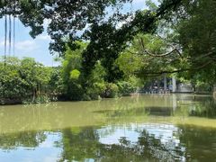 -小洲村