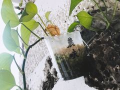 -农畉LONFOOD(福田星河COCOPark店)