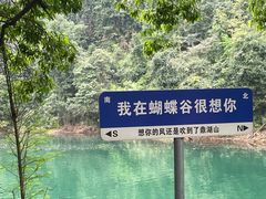 -鼎湖山风景区