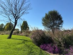 -圣露庄园·露营·烤肉·亲子