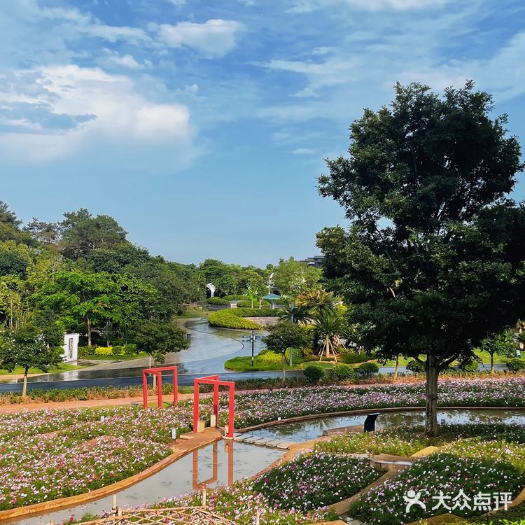 南宁不去后悔一辈子的景点