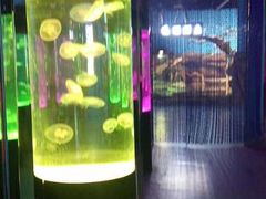 -沙沙哗啦海洋馆(华宇百花谷店)