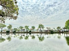 -无锡蠡湖国家湿地公园-蠡园