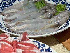有籽八带-东镇老火锅(长春路首店)