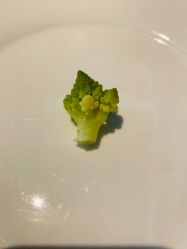 -红砖美术馆-红砖院子·宴会厅