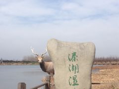 -溱湖国家湿地公园
