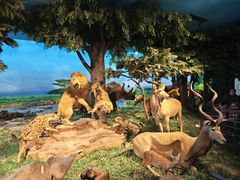 -国家自然博物馆