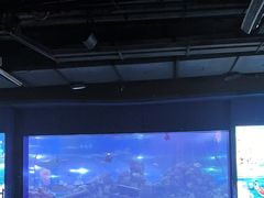 -重庆欢乐海底世界