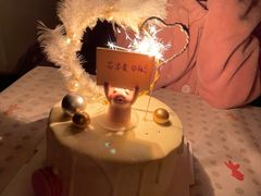 -锦时动物奶油蛋糕(茂业东方时代店)