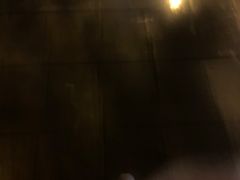 -红姐重庆火锅(曙光路店)