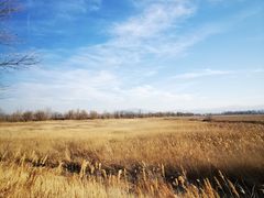 -野鸭湖国家湿地公园