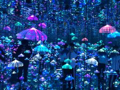 -星空失恋博物馆(双子塔旗舰店)