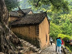 -杨家堂村