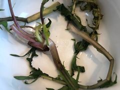 -老油饼酸菜汤(高铁和平店)