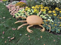 -上海共青森林公园