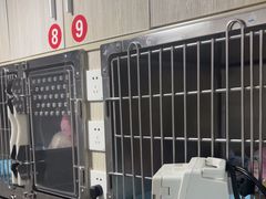-半岛宠物医院24小时(科华中路店)