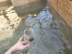 -大连金石滩绿发温泉假日酒店