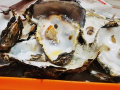 -东北小板凳地摊烧烤(泰来街店)