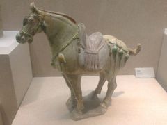 android_upload_pic-广东省博物馆