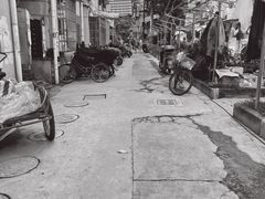 -水丰路鸡蛋饼
