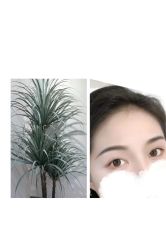 -变美丽半永久纹眉连锁·机器野生眉·洗眉