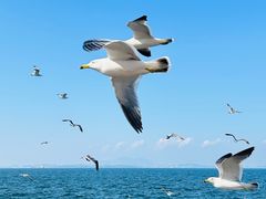 -大连海昌东方水城
