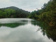-四明山国家森林公园