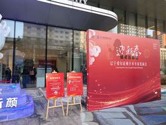 -东北大学附属辽宁爱尔眼科医院