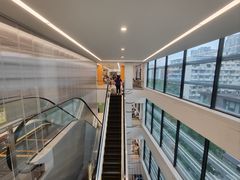 -上海市徐汇区口腔医院