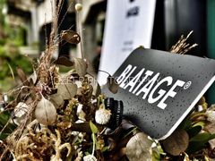 -BLATAGE COFFEE