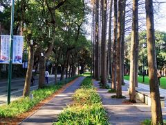 -上海理工大学(复兴路校区)