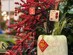 -双季花艺园艺市场(浦东店)