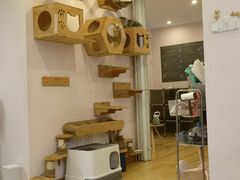 -猫咪派对(江南西店)