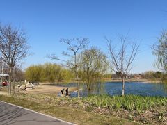 -上海滨江森林公园