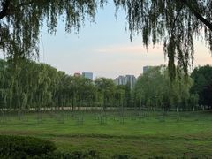 -滨湖塘西河公园
